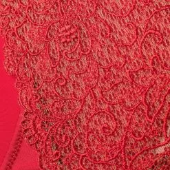 Karl Lagerfeld Saint Tropez lace-panelled briefs