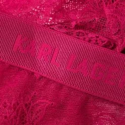 Karl Lagerfeld lace embroidered briefs