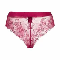 Karl Lagerfeld lace embroidered briefs